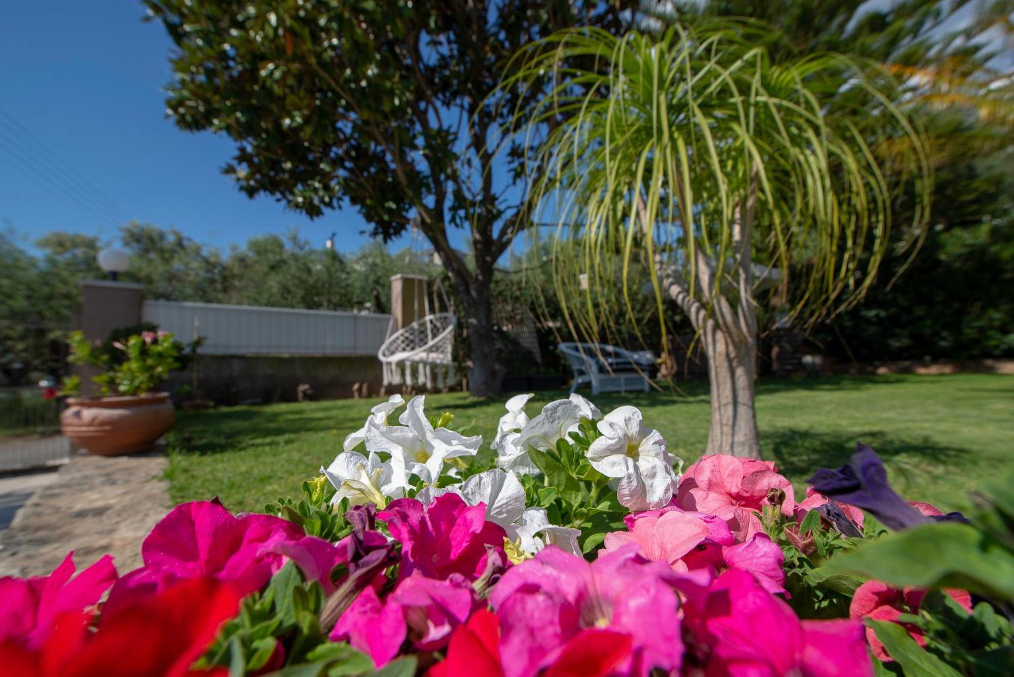 Le Jardin Apartment Kalamata Luaran gambar